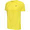 newline nwlLAKELAND Laufshirt Herren 0757 - sulphur spring XXL