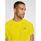 newline nwlLAKELAND Laufshirt Herren 0757 - sulphur spring XXL