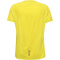 newline nwlLAKELAND Laufshirt Herren 0757 - sulphur spring L