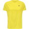 newline nwlLAKELAND Laufshirt Herren 0757 - sulphur spring L