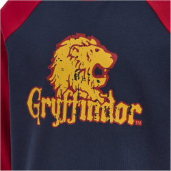 hummel hmlHARRY POTTER Sweatshirt Kinder 3434 - scarlet sage 104