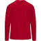 hummel hmlHARRY POTTER NOLEN Schlafanzug Kinder 3434 - scarlet sage 104