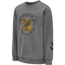 hummel hmlHARRY POTTER SPRING Trainingsanzug Kinder 2800...