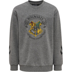 hummel hmlHARRY POTTER SPRING Trainingsanzug Kinder 2800 - medium melange 104