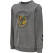 hummel hmlHARRY POTTER SPRING Trainingsanzug Kinder 2800 - medium melange 104