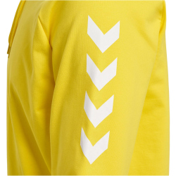 hummel GO Baumwoll Hoodie Herren 5269 - blazing yellow XL