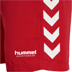 hummel hmlGC FRANK Board Badeshorts Herren 3658 - barbados cherry M