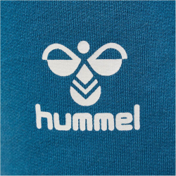 hummel hmlFLOW Sweatshorts Jungen 7058 - blue coral 110