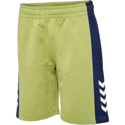 hummel hmlRUSH Blocked Sweatshorts Jungen 6156 - green...