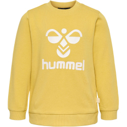 hummel hmlHAPPY ARINE Baby-Jogginganzug 3405 - ochre 56
