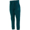 hummel hmlFASTWO APPLE Baby-Jogginghose 6470 - deep teal 56