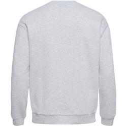hummel hmlROLIGAN Sweatshirt Herren 2010 - light grey...