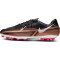 NIKE Phantom GT2 Academy AG Kunstrasen-Fußballschuhe 810 - metallic copper/metallic copper 41