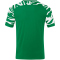JAKO Wild kurzarm Trikot Herren 202 - sportgrün/weiß M