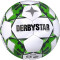 DERBYSTAR Apus TT Fußball 32 Panel mit Hybrid-Technologie und FIFA Basic Zertifikat
