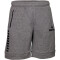 DERBYSTAR Ultimo Sweatshorts grau L