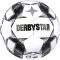 DERBYSTAR Apus TT Fußball 32 Panel mit Hybrid-Technologie und FIFA Basic Zertifikat weiß/schwarz 5
