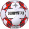 DERBYSTAR Apus TT Fußball 32 Panel mit Hybrid-Technologie und FIFA Basic Zertifikat weiß/rot 5
