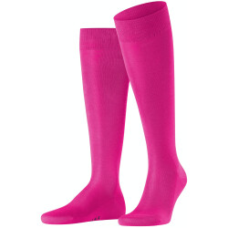 FALKE Tiago Kniestrümpfe Herren 8390 - berry 39-40