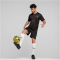 PUMA BVB Borussia Dortmund Special Edition Trikot Herren