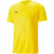 PUMA teamULTIMATE Trikot Herren