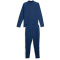 PUMA teamLIGA Trainingsanzug Herren