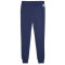 PUMA Handball Trainingshose Herren