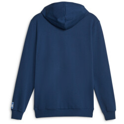 PUMA Handball Hoodie Herren