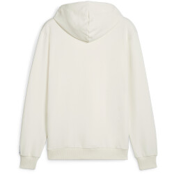PUMA Handball Hoodie Herren