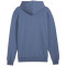 PUMA Handball Hoodie Herren