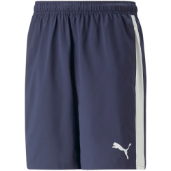 PUMA teamLIGA Multisport Shorts Herren