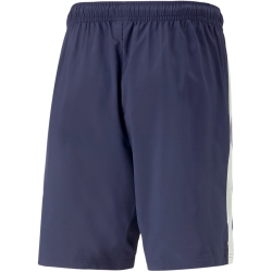 PUMA teamLIGA Multisport Shorts Herren
