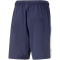 PUMA teamLIGA Multisport Shorts Herren