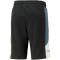 PUMA King Top Sweatshorts Herren