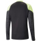PUMA individualCUP 1/4-Zip Trainingsshirt Herren