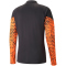 PUMA individualCUP 1/4-Zip Trainingsshirt Herren