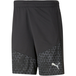 PUMA teamCUP Trainingsshorts Herren