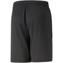 PUMA teamCUP Trainingsshorts Herren