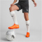 PUMA teamCUP Trainingsshorts Herren