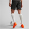 PUMA teamCUP Trainingsshorts Herren