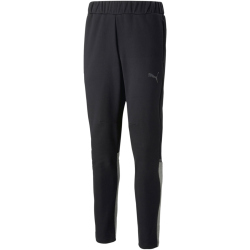 PUMA teamCUP Jogginghose Herren