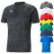 PUMA teamCUP Trainingsshirt Herren
