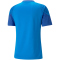 PUMA teamCUP Trainingsshirt Herren
