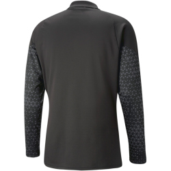 PUMA teamCUP Trainingsjacke Herren