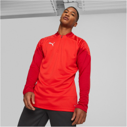 PUMA teamCUP Training 1/4-Zip Top Herren
