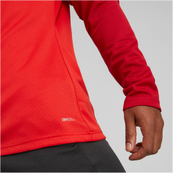 PUMA teamCUP Training 1/4-Zip Top Herren
