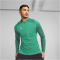 PUMA teamCUP Training 1/4-Zip Top Herren