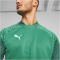 PUMA teamCUP Training 1/4-Zip Top Herren