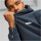 PUMA Essentials Small Logo Fleece-Hoodie Herren
