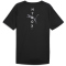 PUMA HYROX/ Fit Ultrabreathe Triblend T-Shirt Herren